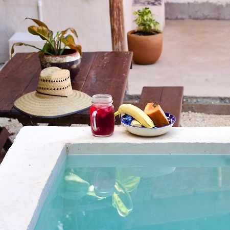 Casa Del Artista - B&B Playa del Carmen Zewnętrze zdjęcie