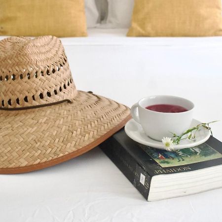 Casa Del Artista - B&B Playa del Carmen Zewnętrze zdjęcie