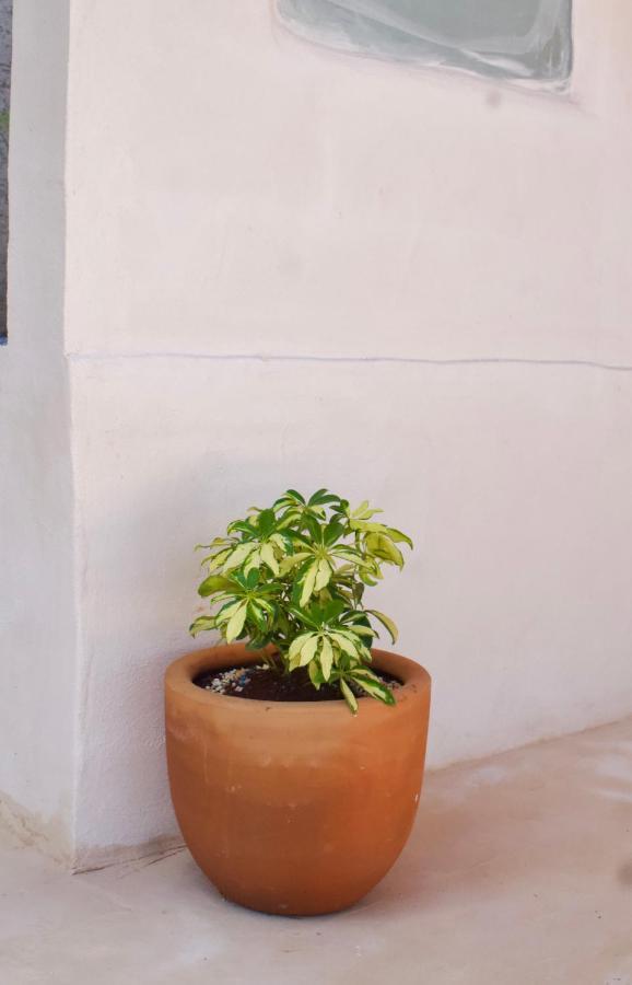 Casa Del Artista - B&B Playa del Carmen Zewnętrze zdjęcie
