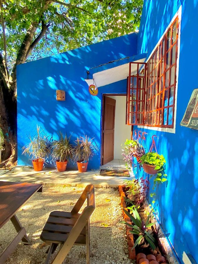 Casa Del Artista - B&B Playa del Carmen Zewnętrze zdjęcie