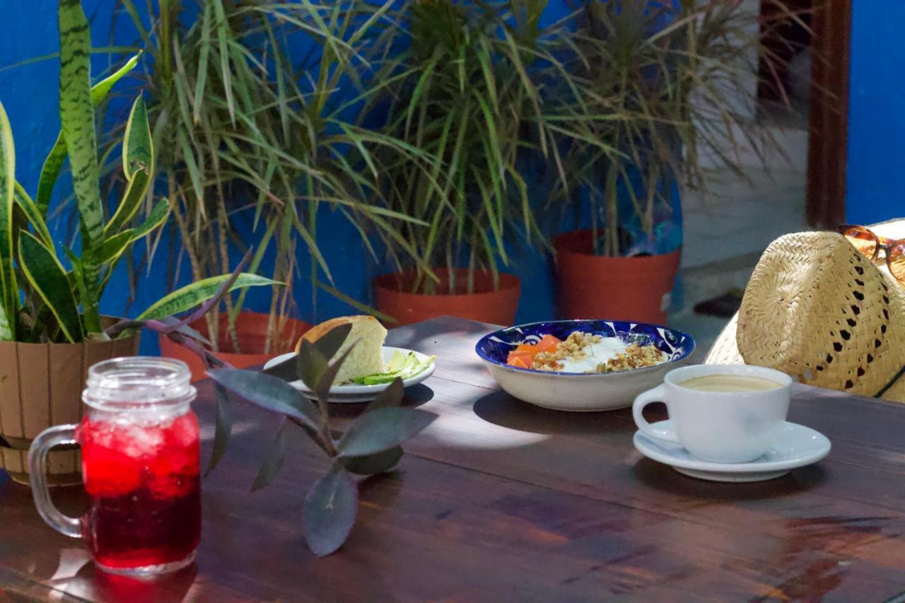 Casa Del Artista - B&B Playa del Carmen Zewnętrze zdjęcie