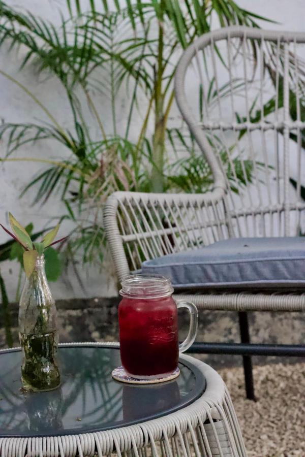 Casa Del Artista - B&B Playa del Carmen Zewnętrze zdjęcie
