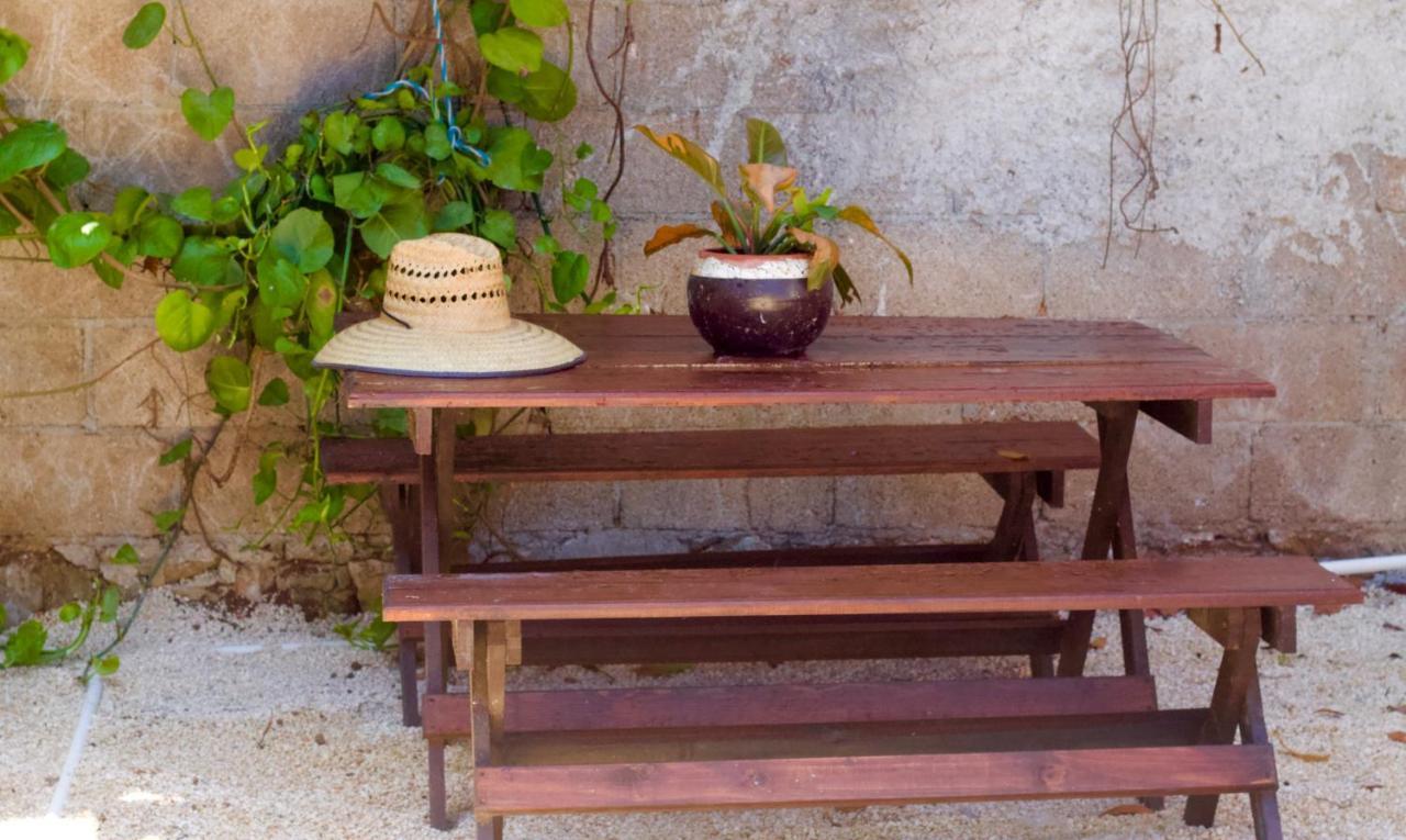 Casa Del Artista - B&B Playa del Carmen Zewnętrze zdjęcie